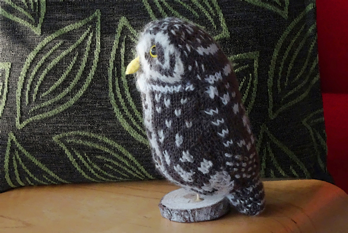 Steenuil Little Owl Athene noctua